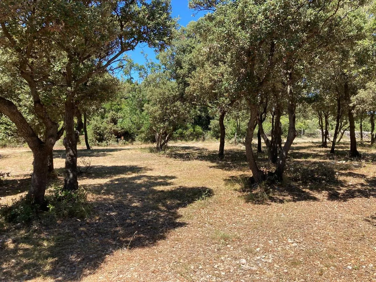 Camping Sugar Mandre