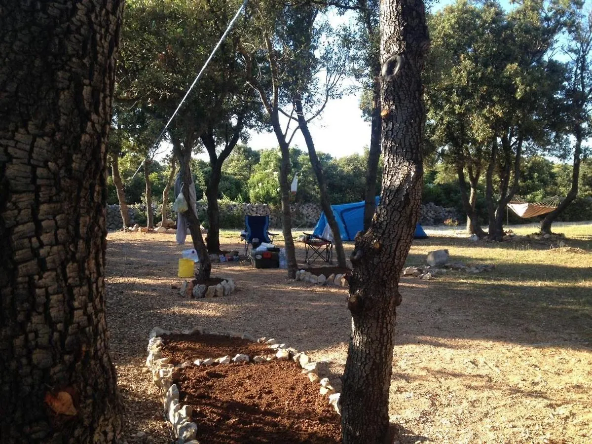 Kemp Camping Sugar Mandre