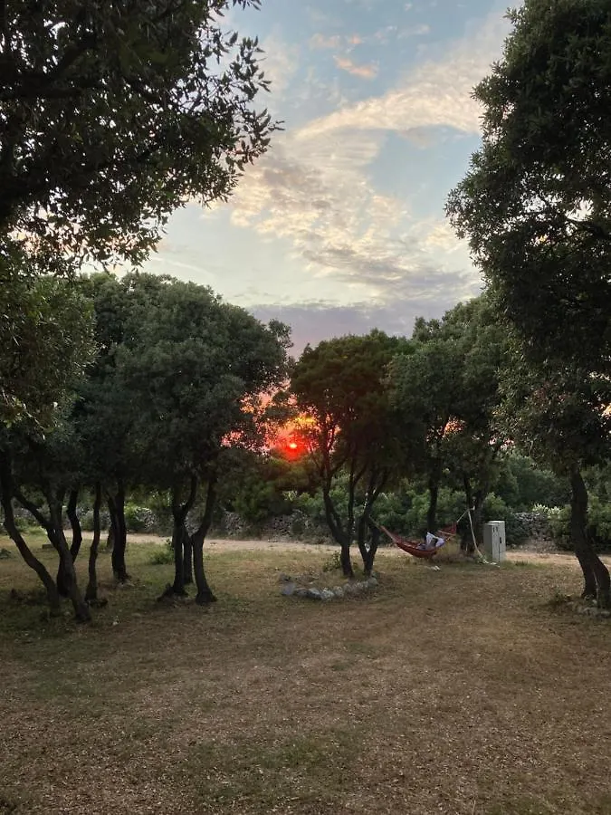 Camping Sugar Mandre