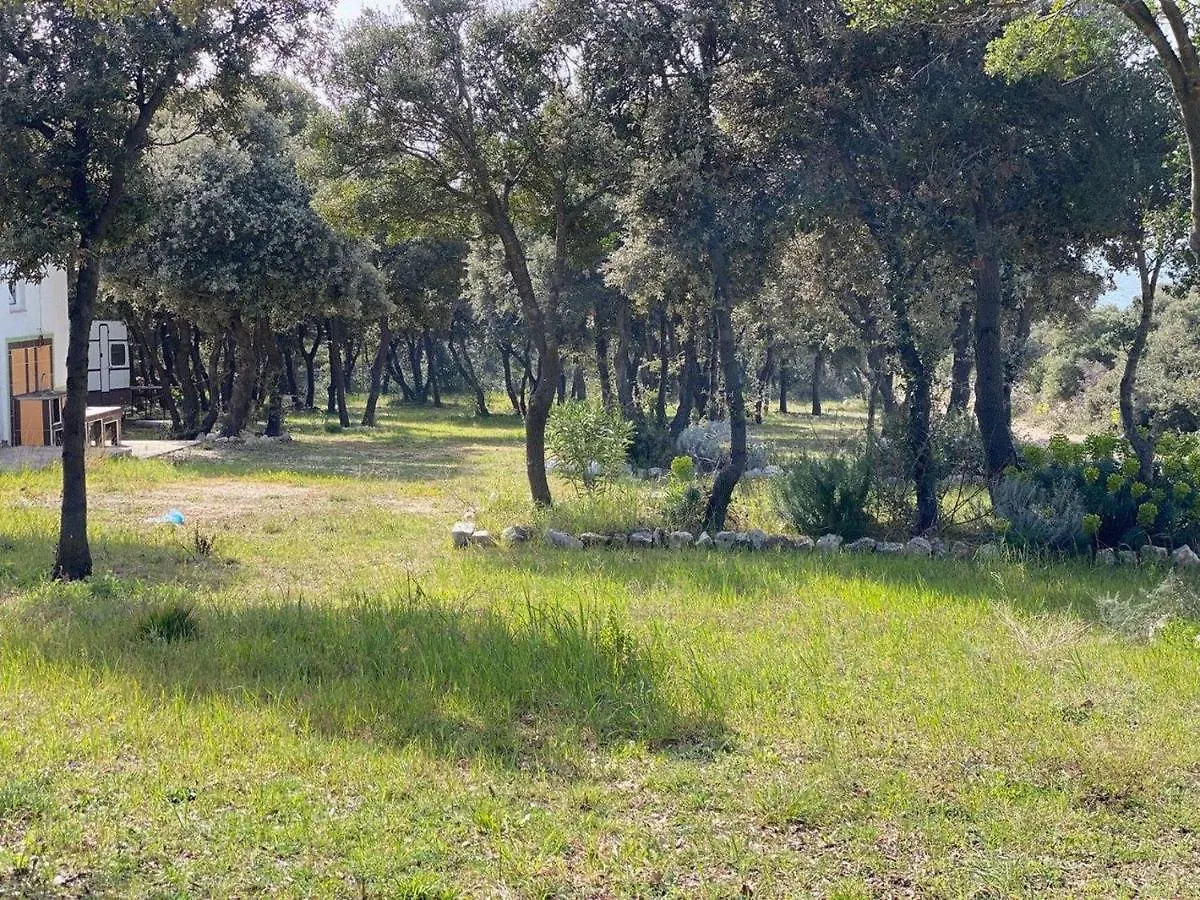 Camping Sugar Mandre