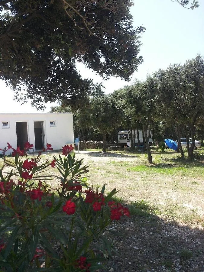 Camping Sugar Mandre Kemp