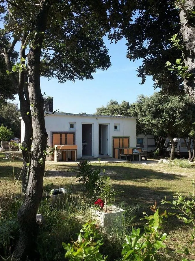 Camping Sugar Mandre Chorvatsko
